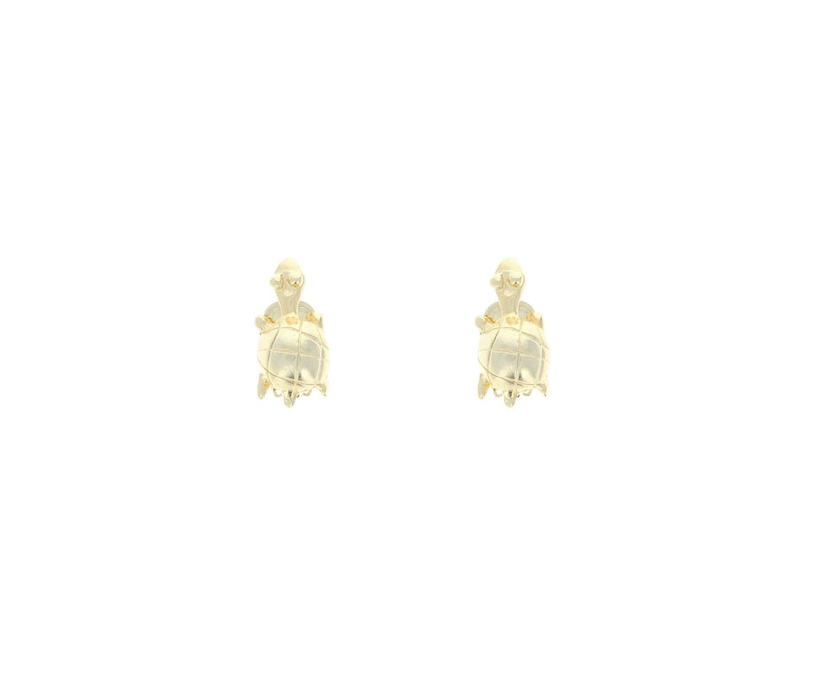 ARETES TORTUGA